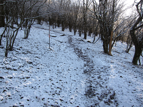 20191129hike (570)